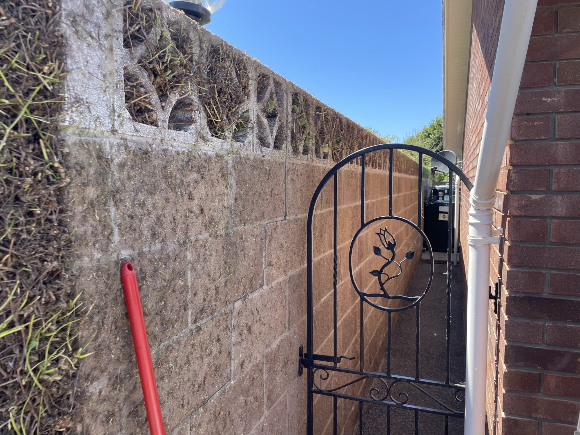 garden maintenance