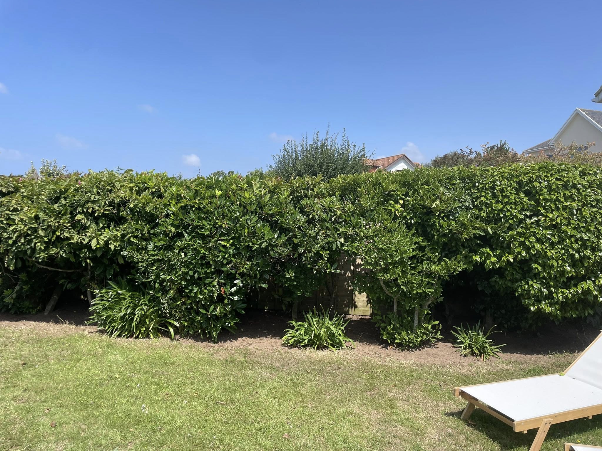 gardening Services