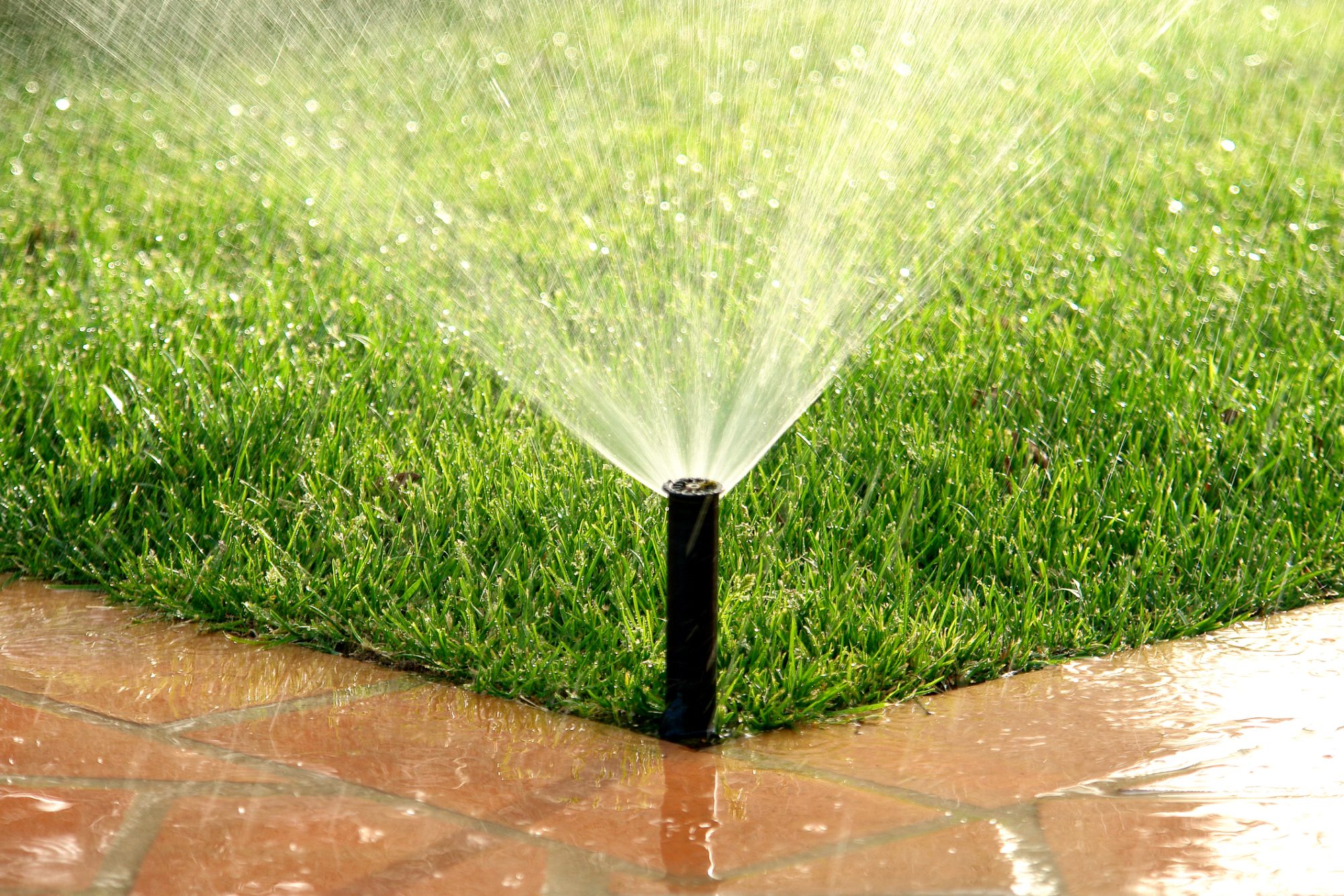 Watering Systems