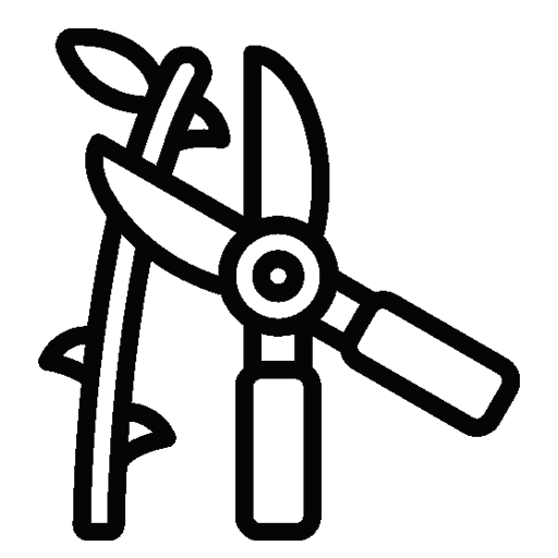 pruning shears